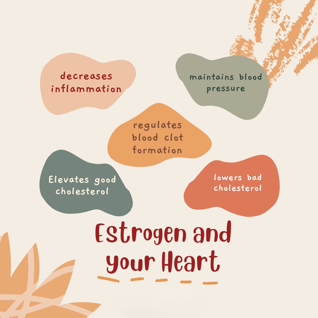Estrogen and your heart — decreases inflammation, maintains blood pressure, regulates blood clot formation, elevates good cholesterol, lowers bad cholesterol